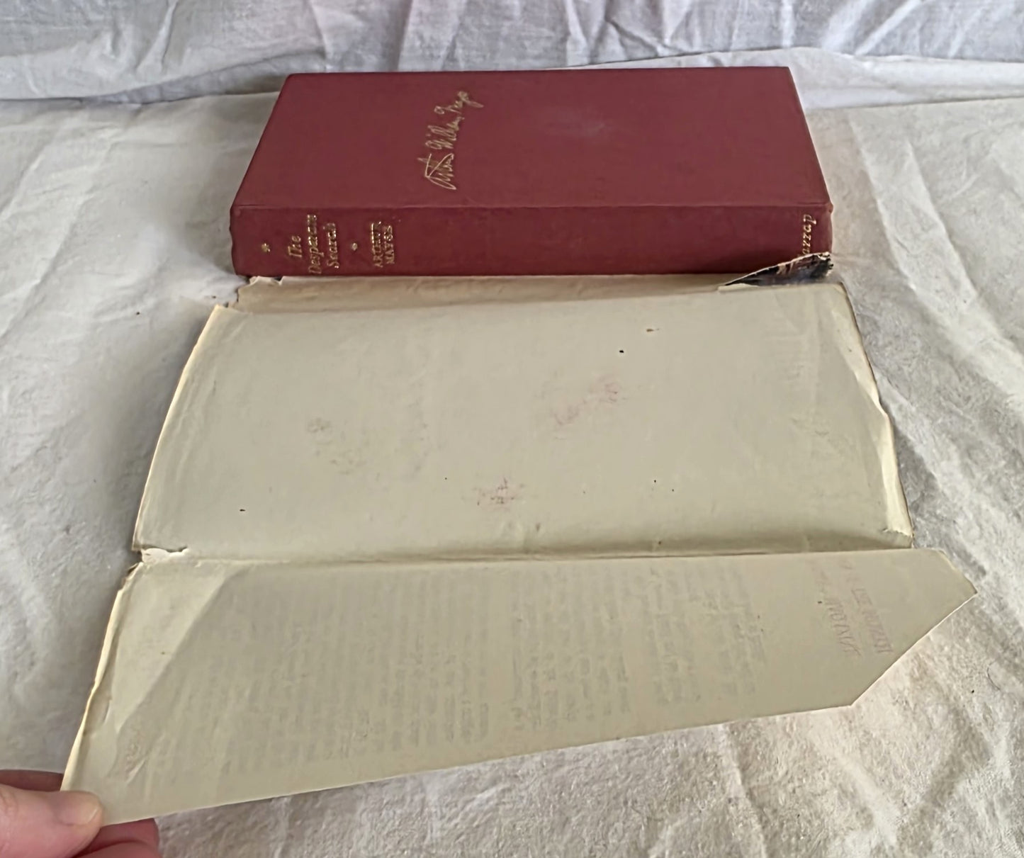 The Desperate Search by Arthur Mayse