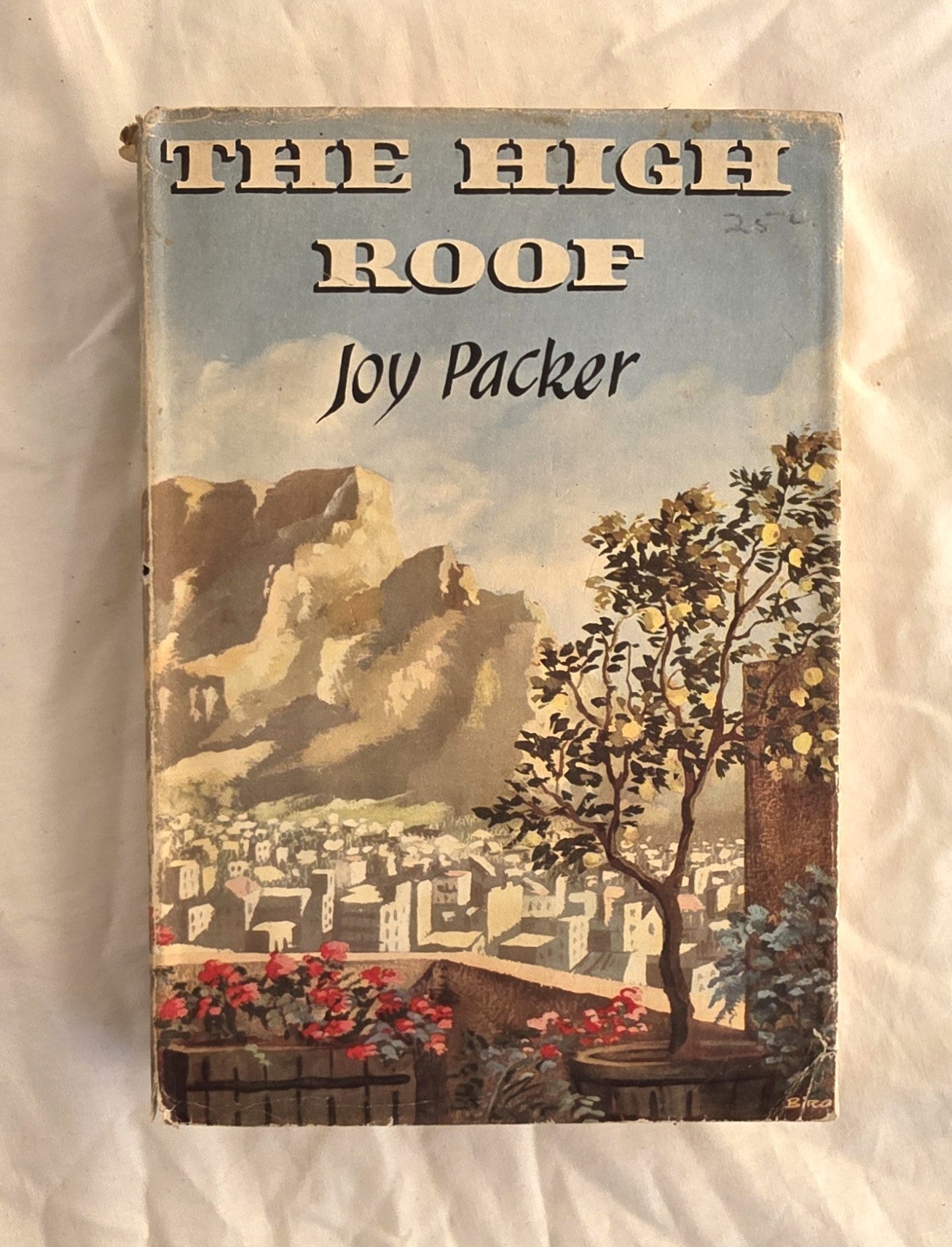 Book cover of 'The High Roof' by Joy Packer with a scenic illustration on a white background