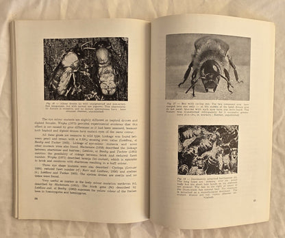 The Instrumental Insemination of the Queen Bee by Friedrich Ruttner