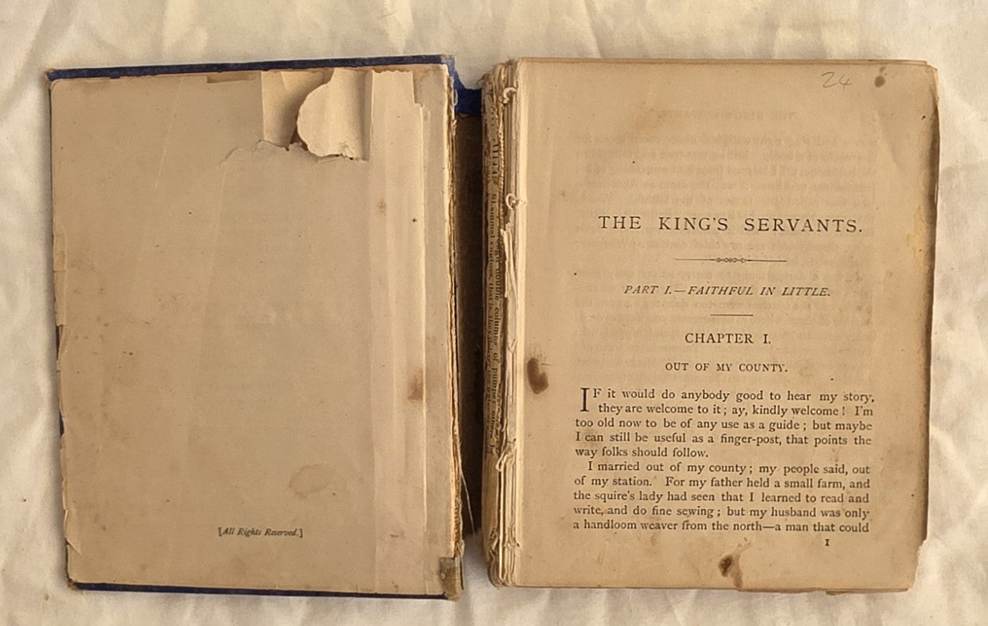 Open book titled 'The King's Servants' on a textured surface