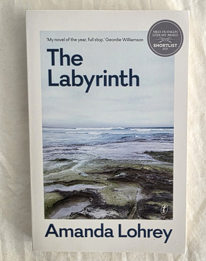 Book cover of 'The Labyrinth' by Amanda Lohrey with a coastal scene on a white background