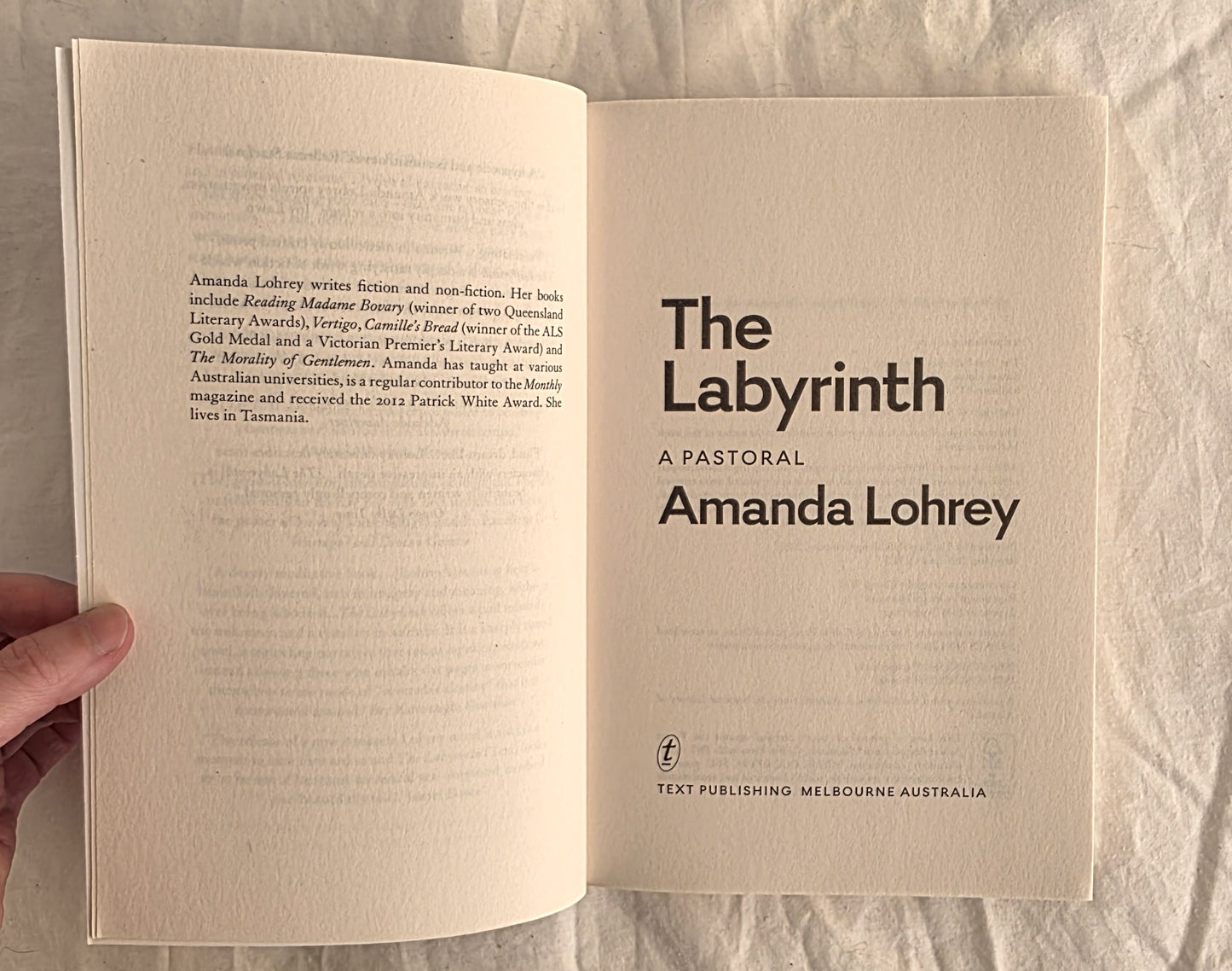 The Labyrinth by Amanda Lohrey