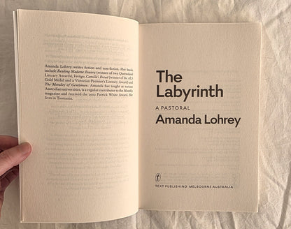 The Labyrinth by Amanda Lohrey