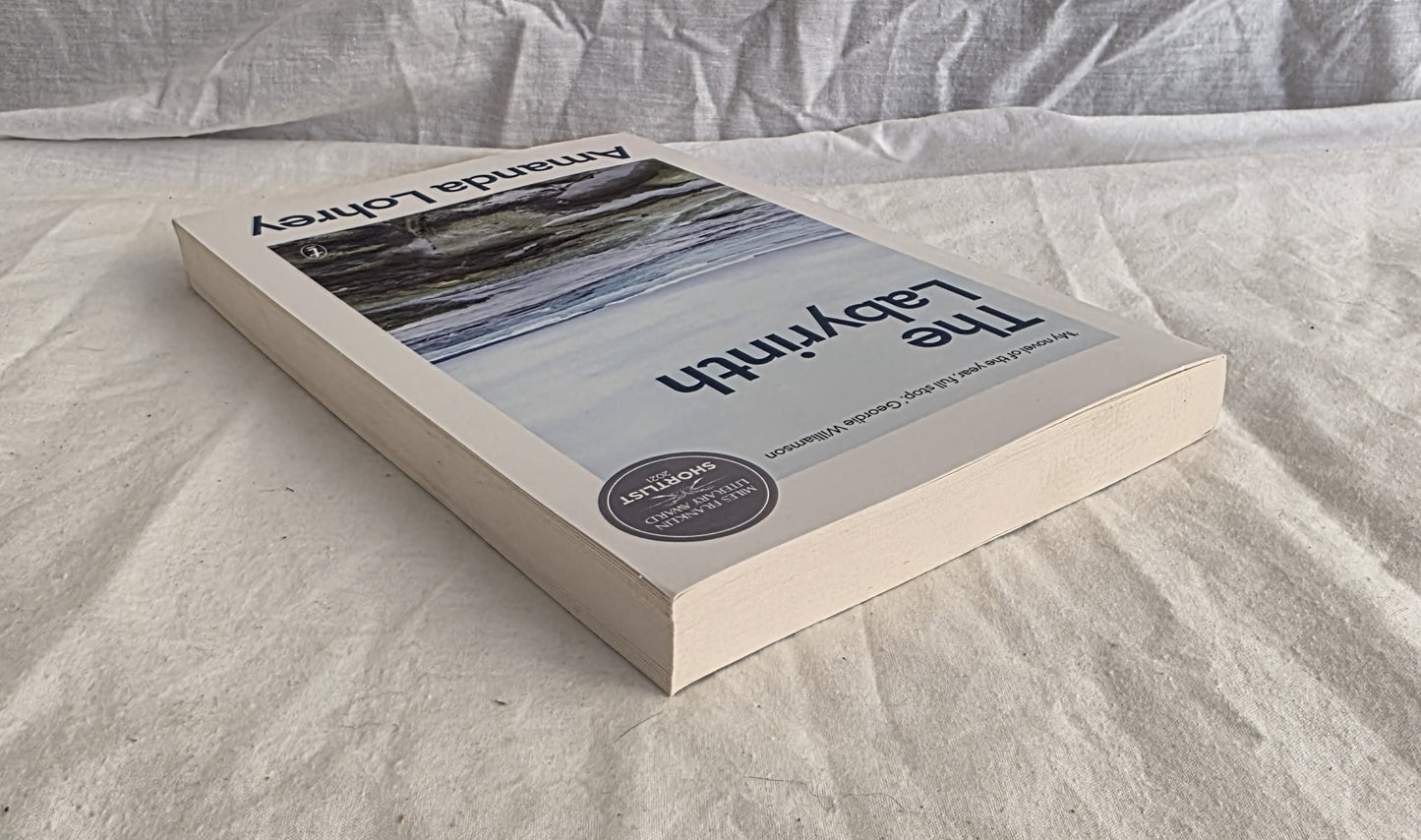 The Labyrinth by Amanda Lohrey