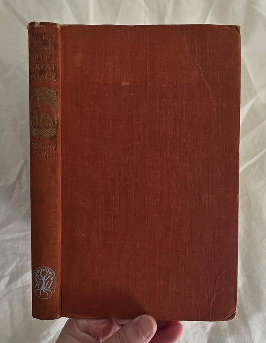 Vintage brown book held by a hand on a white background