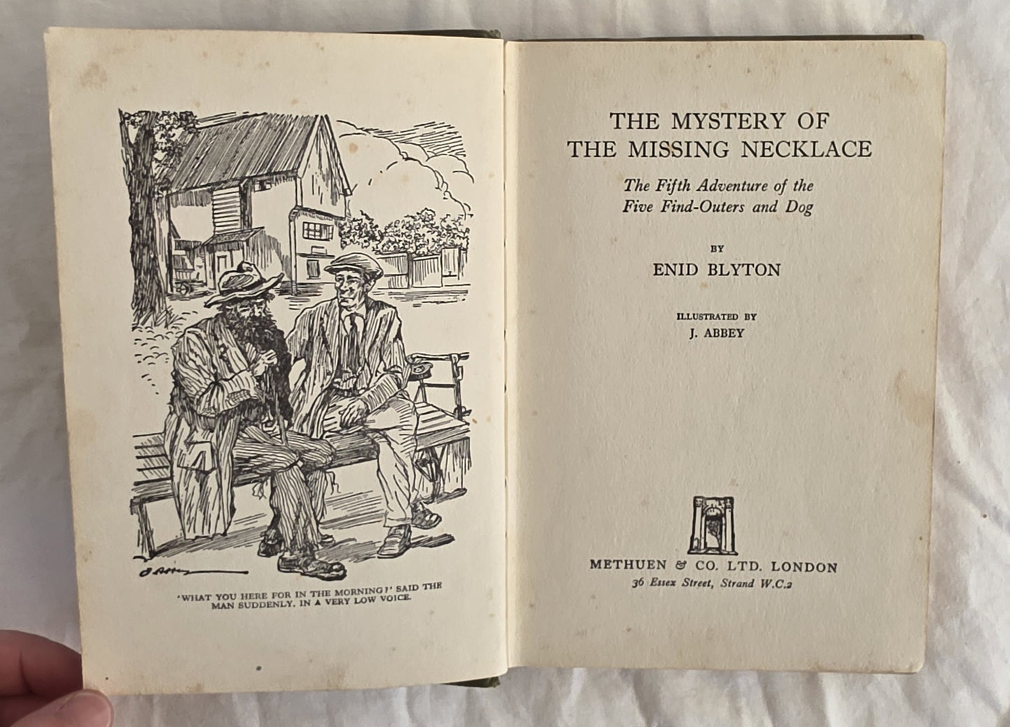 Open book showing illustration and text of 'The Mystery of the Missing Necklace' by Enid Blyton.