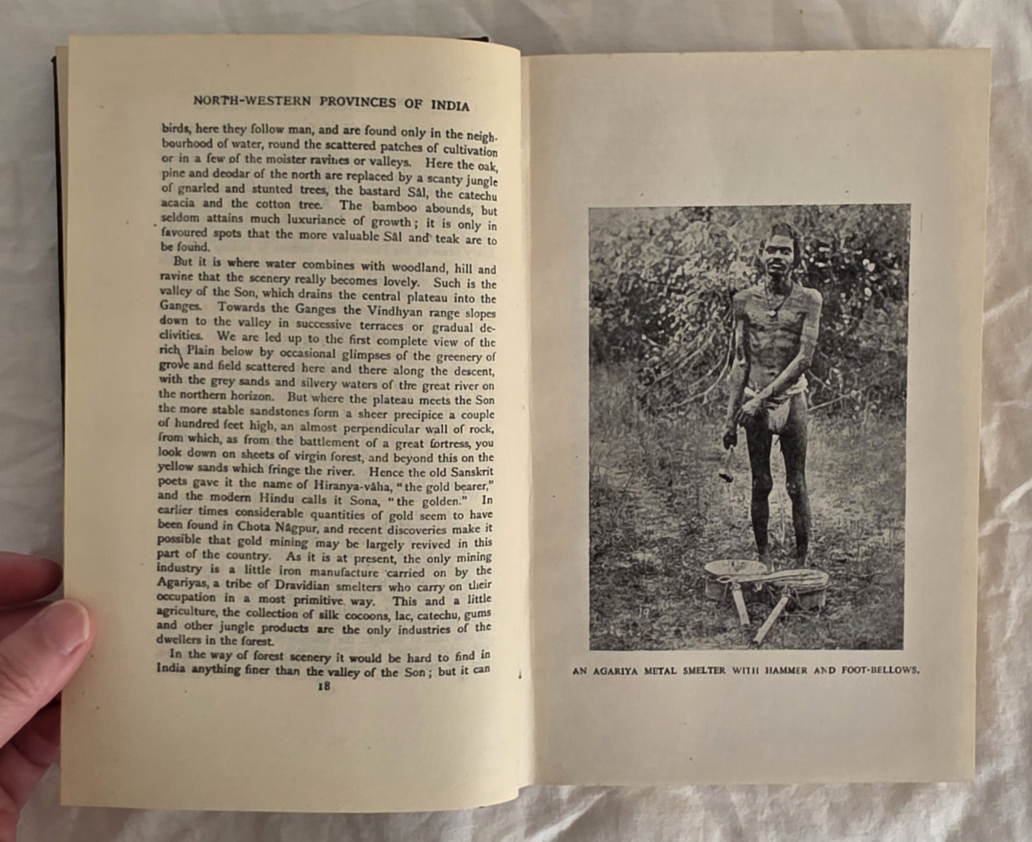 The North-Western Provinces of India by W. Crooke