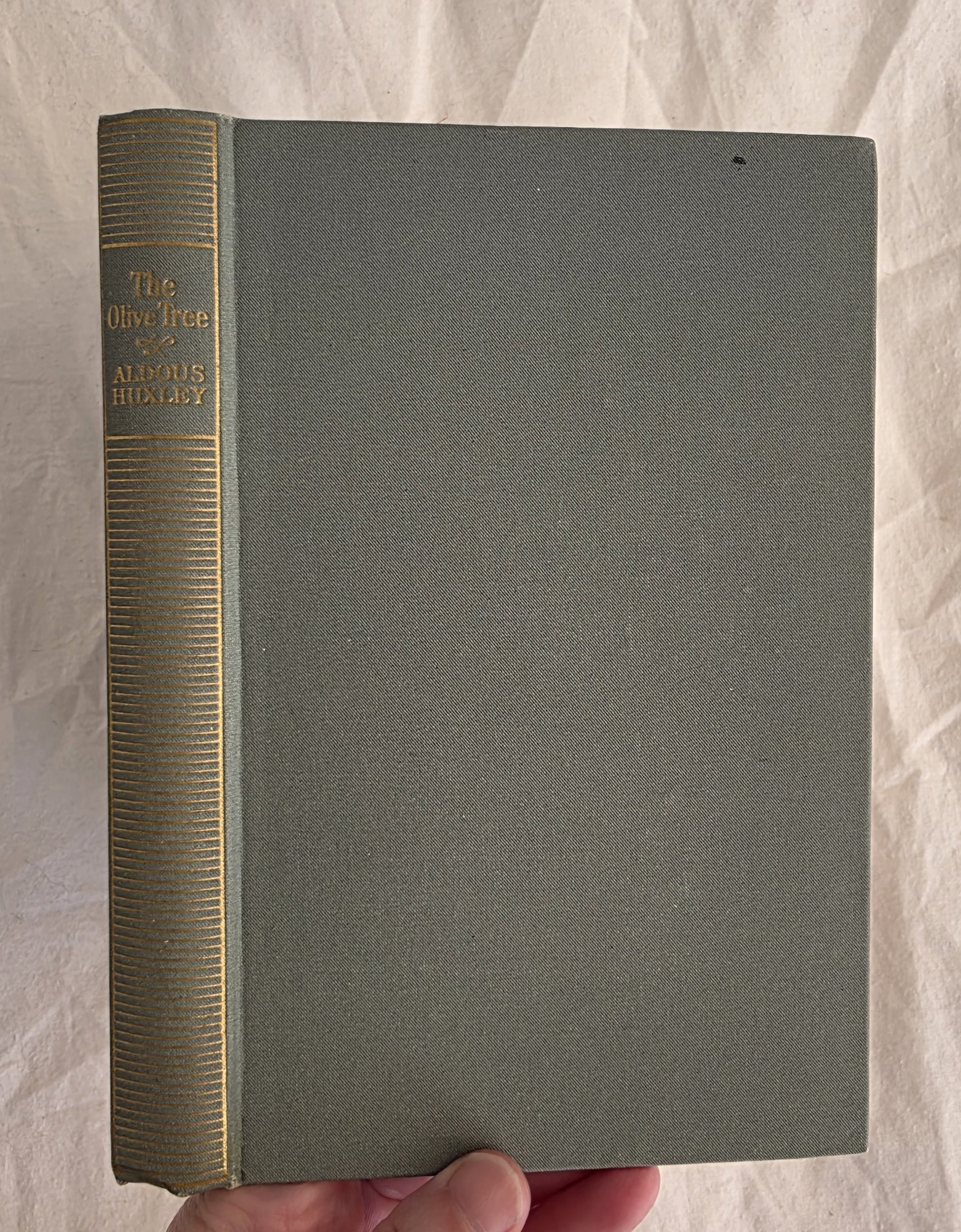 Gray book with gold spine held by a hand on a light marble background