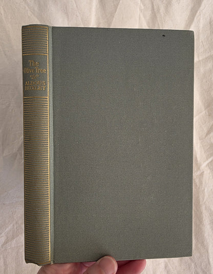 Gray book with gold spine held by a hand on a light marble background