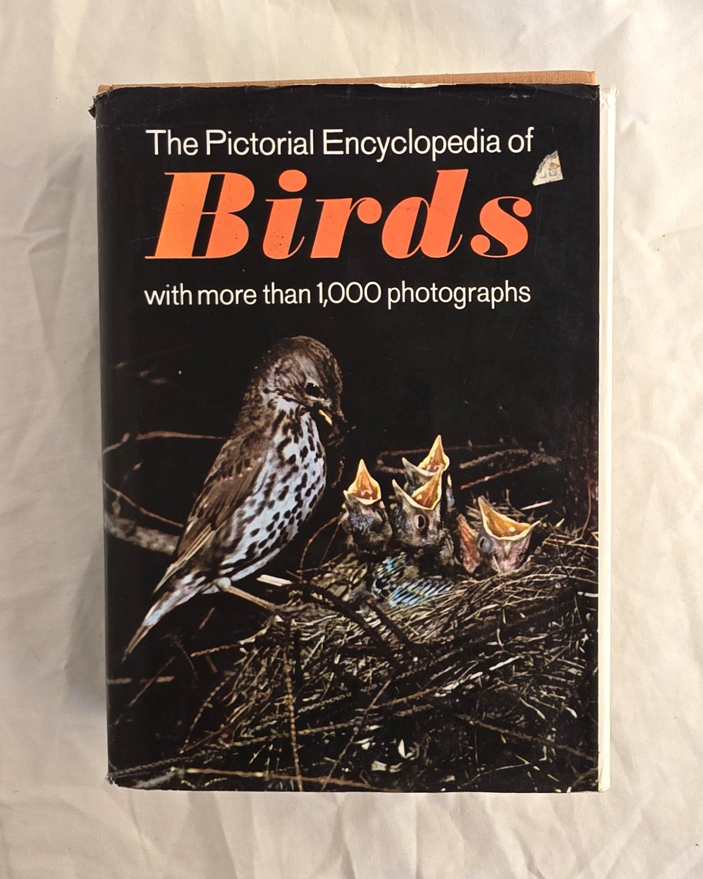 Book titled 'The Pictorial Encyclopedia of Birds' with a bird and chicks illustration on a black background.