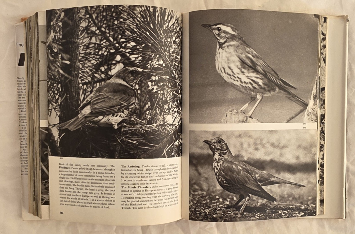The Pictorial Encyclopedia of Birds  by J. Hanzak