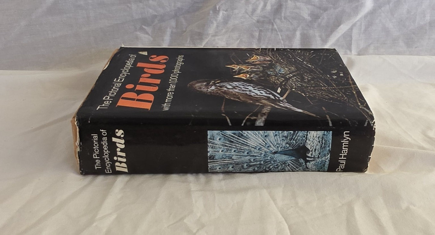 The Pictorial Encyclopedia of Birds  by J. Hanzak