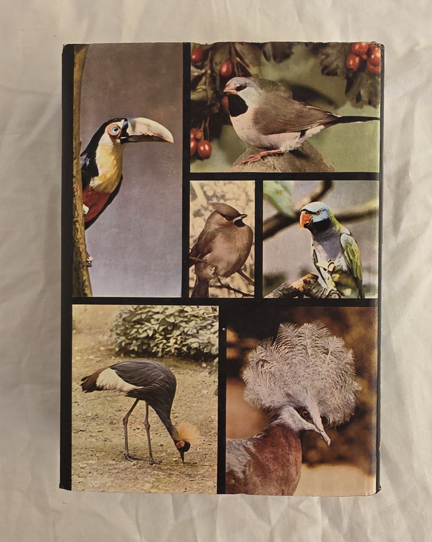 The Pictorial Encyclopedia of Birds  by J. Hanzak