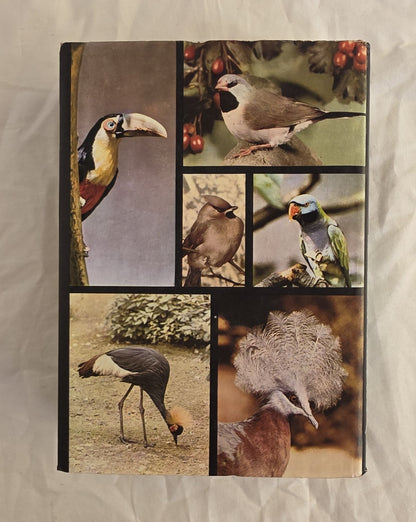 The Pictorial Encyclopedia of Birds  by J. Hanzak