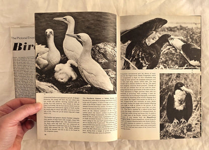 The Pictorial Encyclopedia of Birds  by J. Hanzak