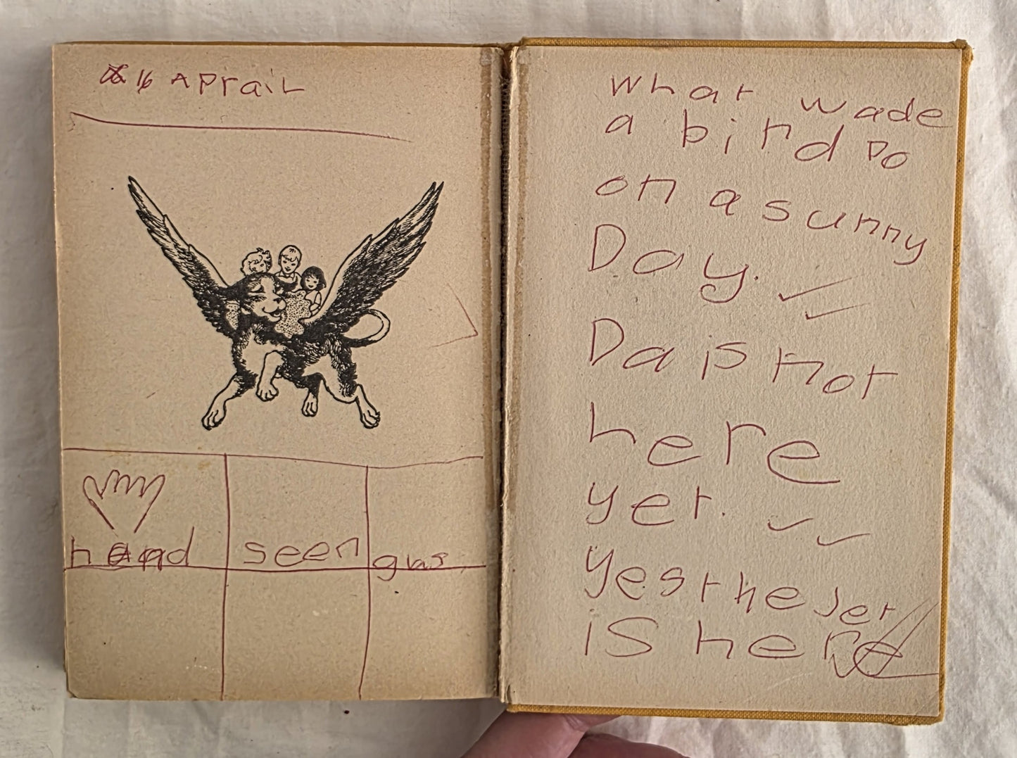 The Queer Adventure by Enid Blyton