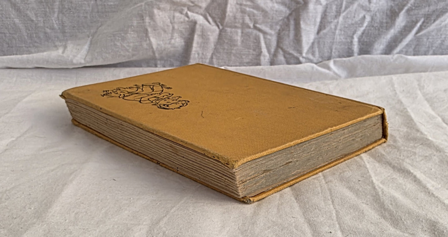 The Queer Adventure by Enid Blyton