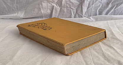 The Queer Adventure by Enid Blyton