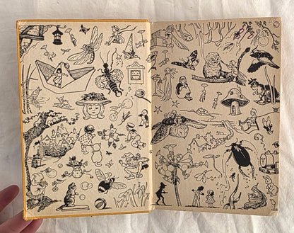 The Queer Adventure by Enid Blyton