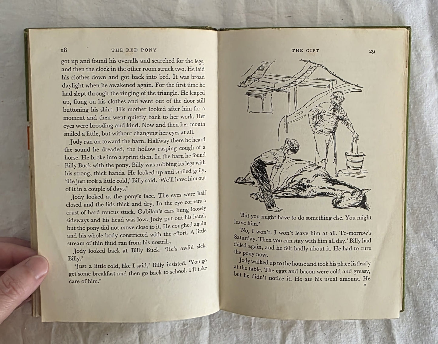 The Red Pony by John Steinbeck