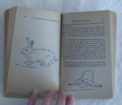 The Right Way to Keep Rabbits by Roy Robinson