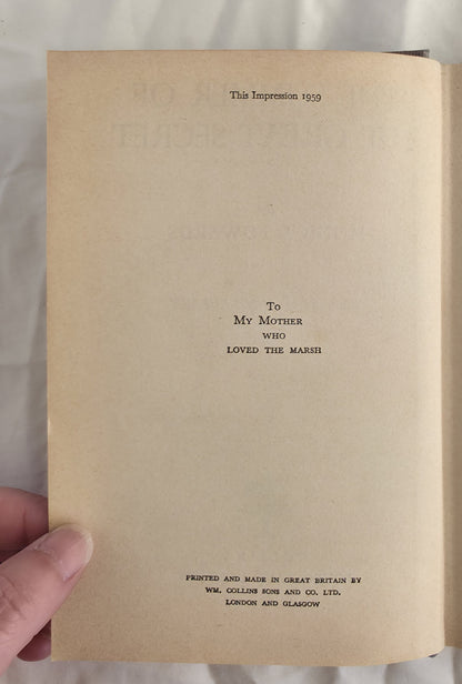 The Summer of The Great Secret by Monica Edwards