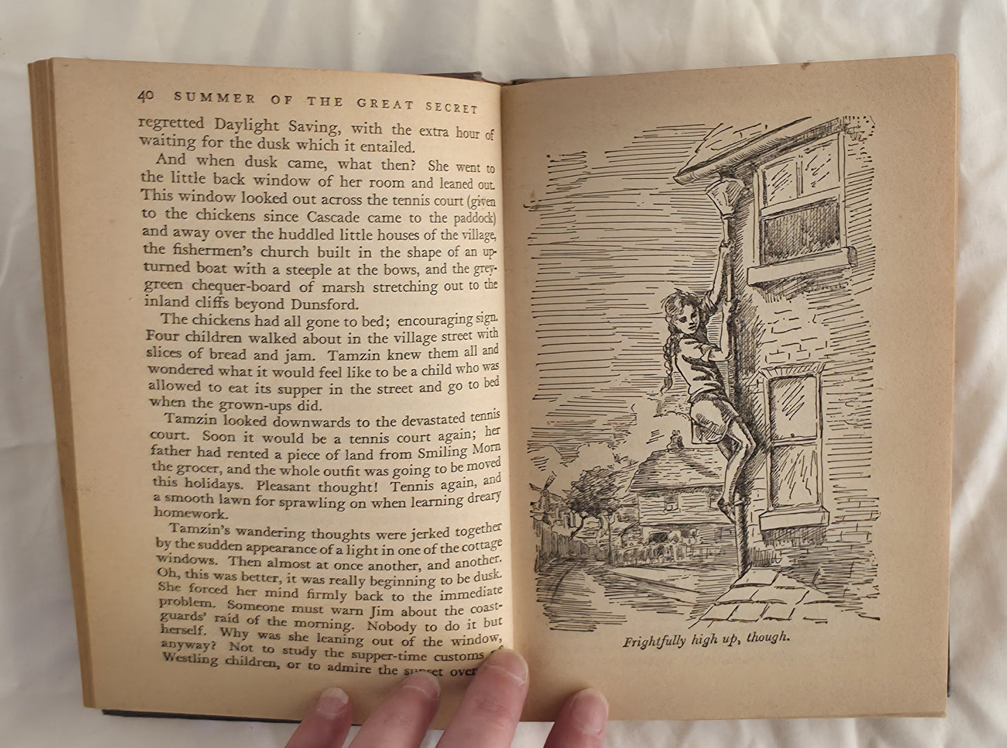 The Summer of The Great Secret by Monica Edwards