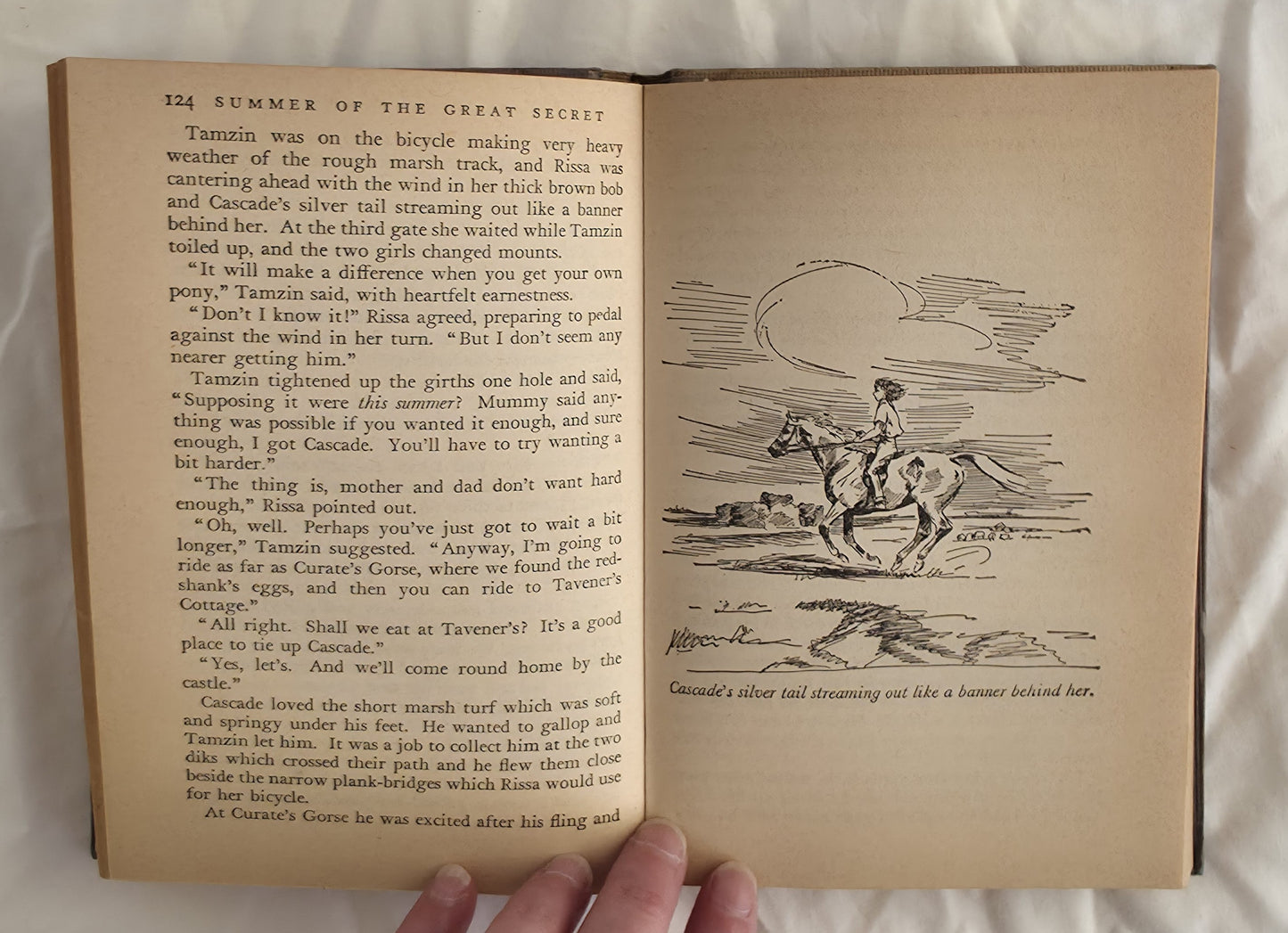 The Summer of The Great Secret by Monica Edwards