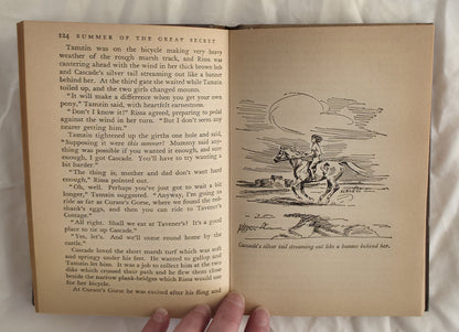 The Summer of The Great Secret by Monica Edwards