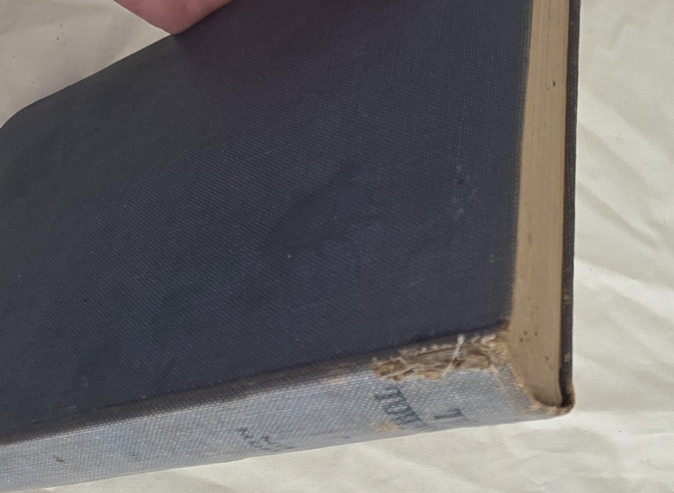 The Township by Myra Morris