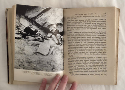 The Trail of Marco Polo by Jean Bowie Shor