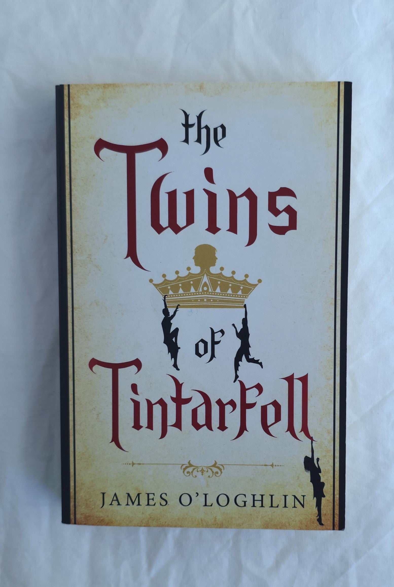 Book cover of 'The Twins of Tintarfell' by James O'Loughlin on a white background