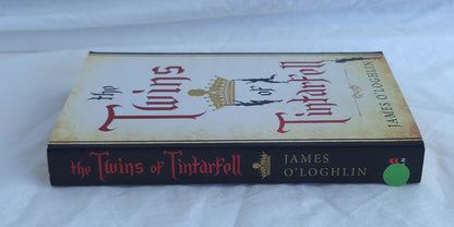 The Twins of Tintarfell by James O’Loghlin