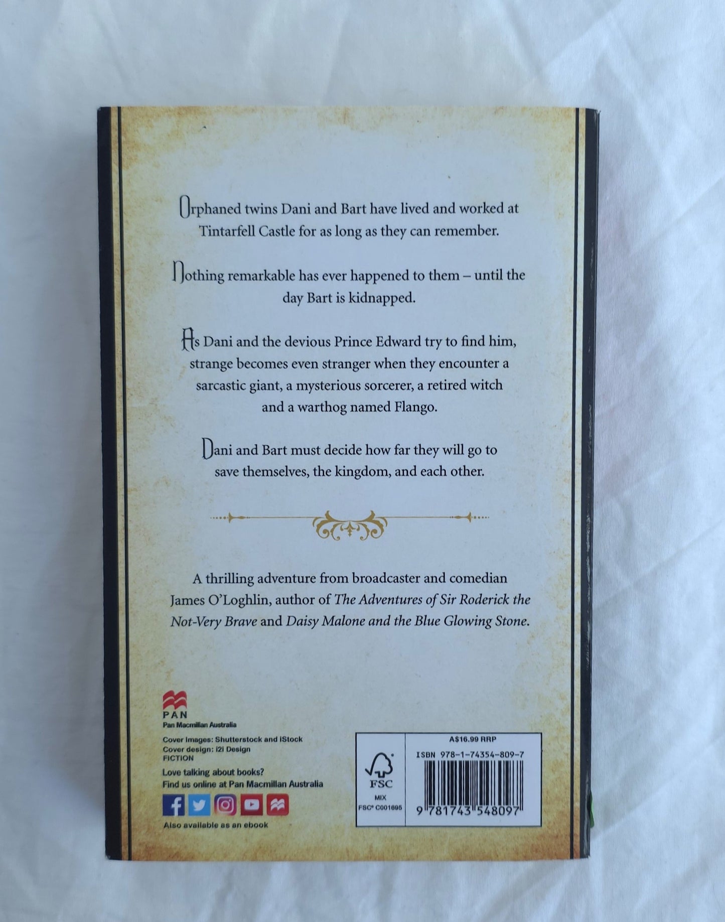 The Twins of Tintarfell by James O’Loghlin