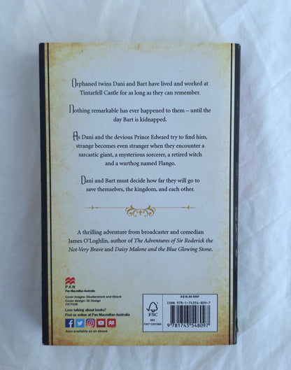 The Twins of Tintarfell by James O’Loghlin