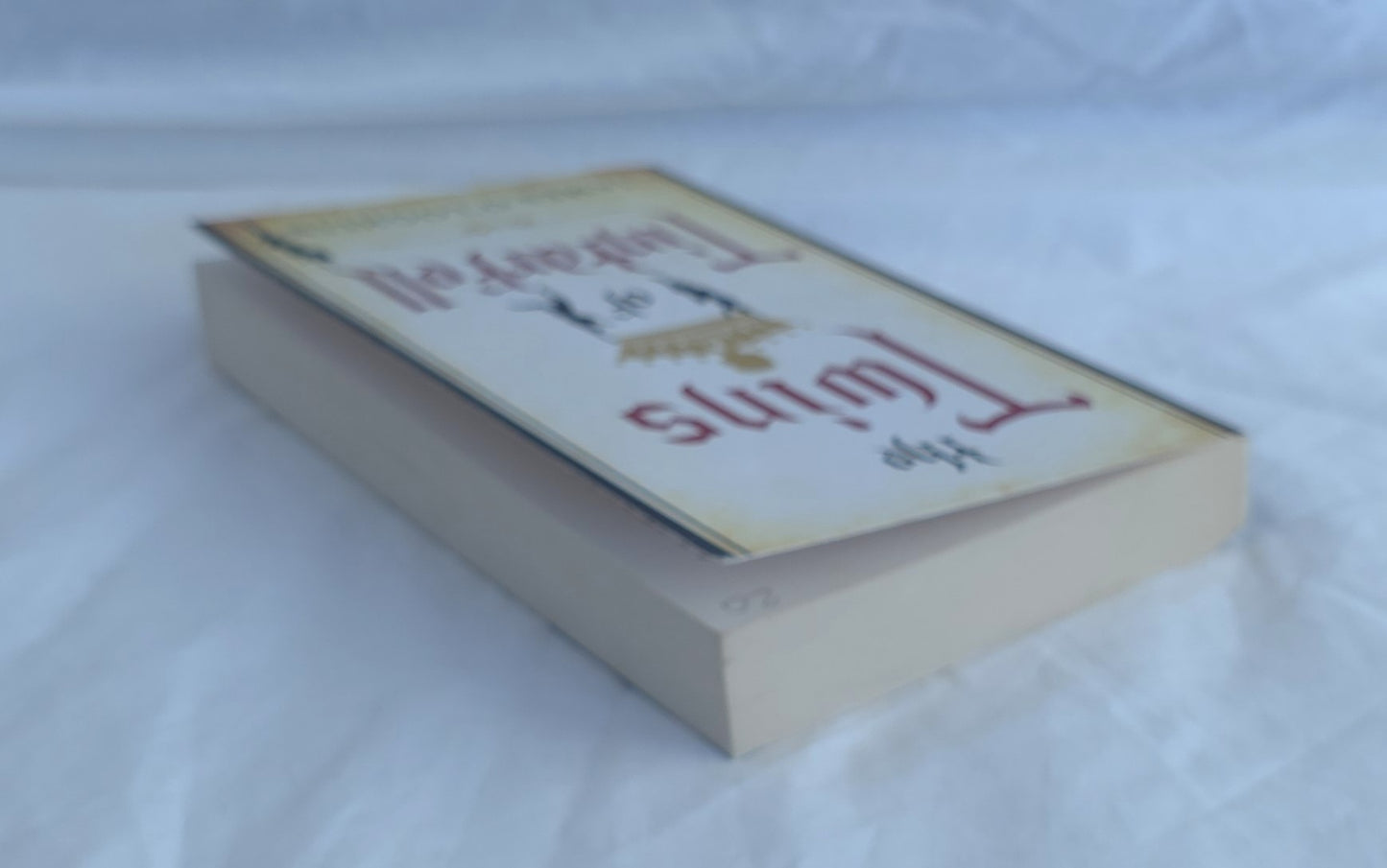 The Twins of Tintarfell by James O’Loghlin