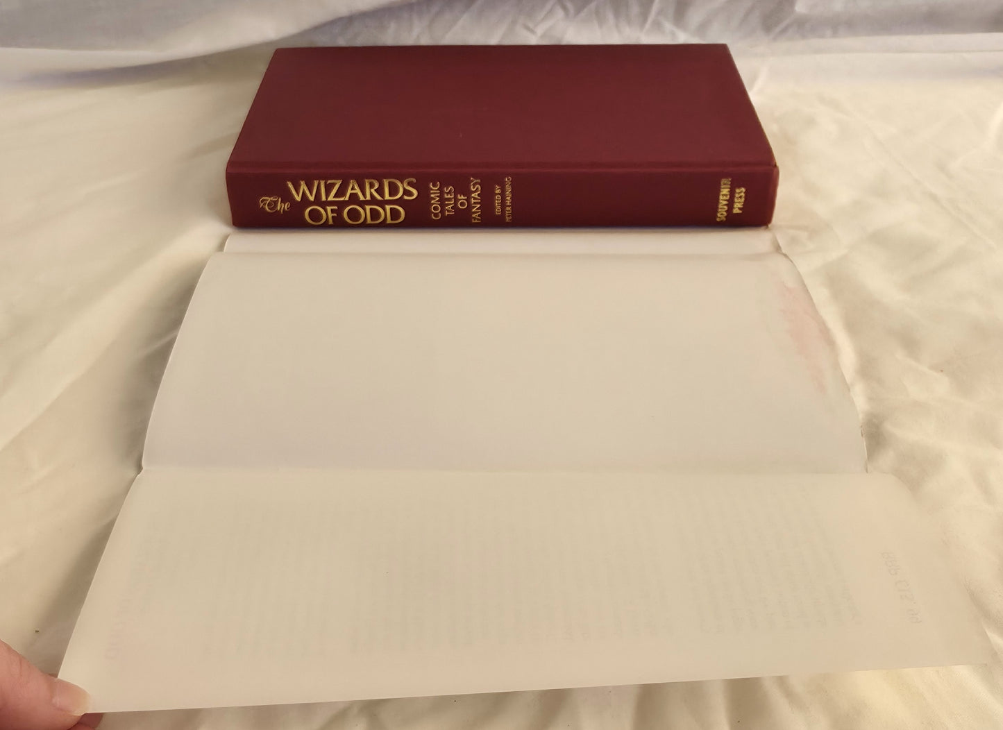 The Wizards of Odd by Peter Haining