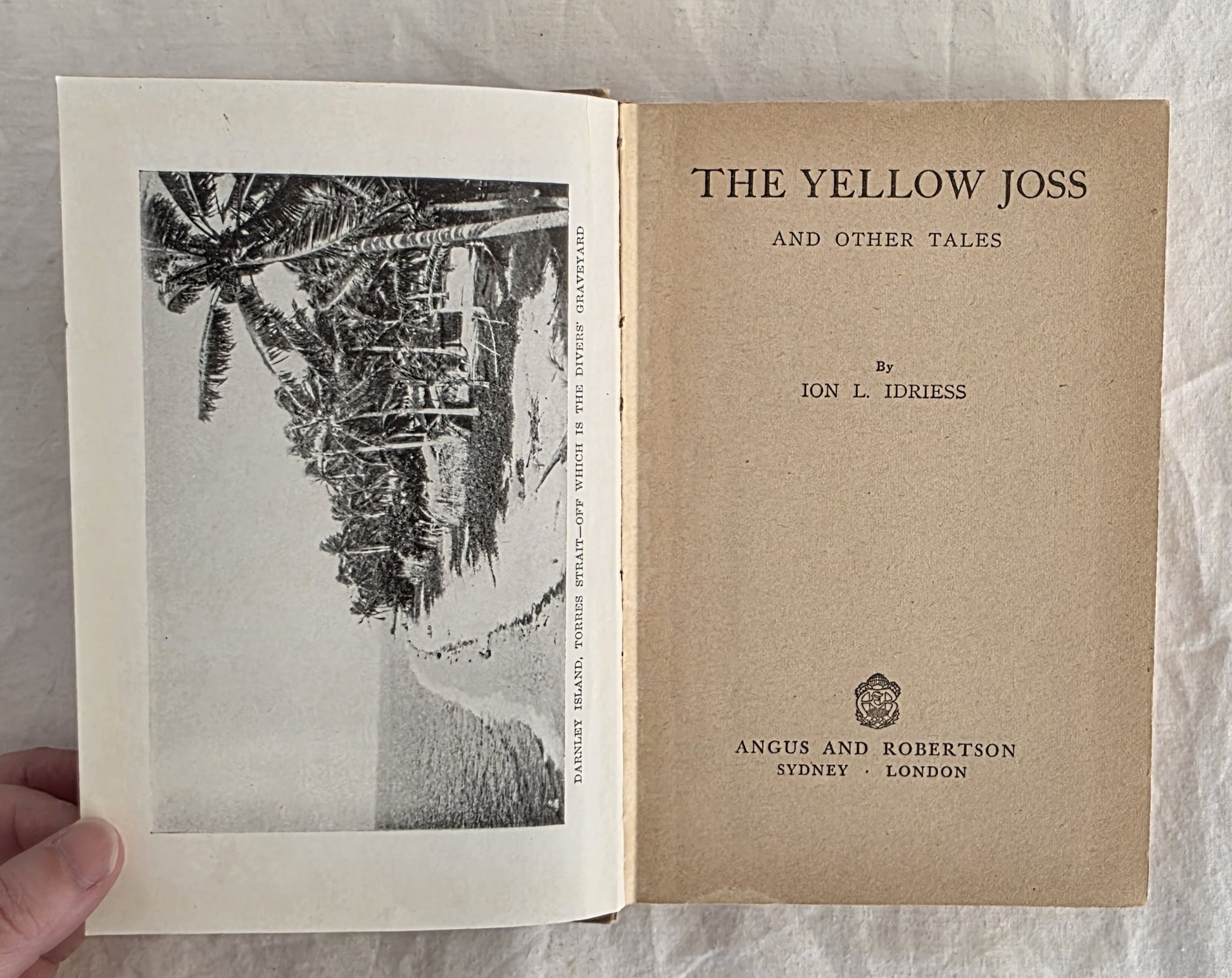 Open book titled 'The Yellow Joss and Other Tales' by Ion L. Idriess, held against a textured gray background.