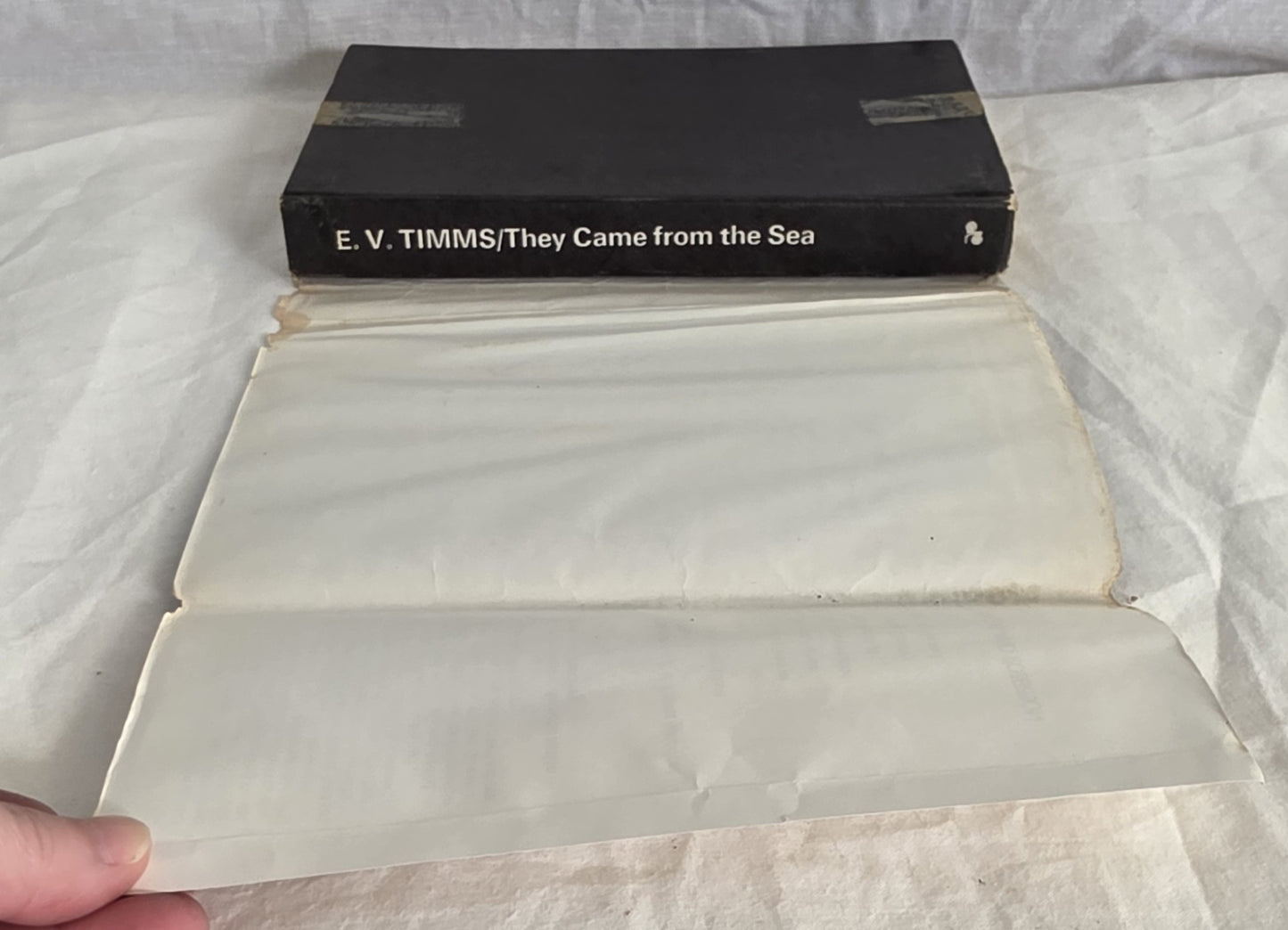 They Came from the Sea by E. V. Timms