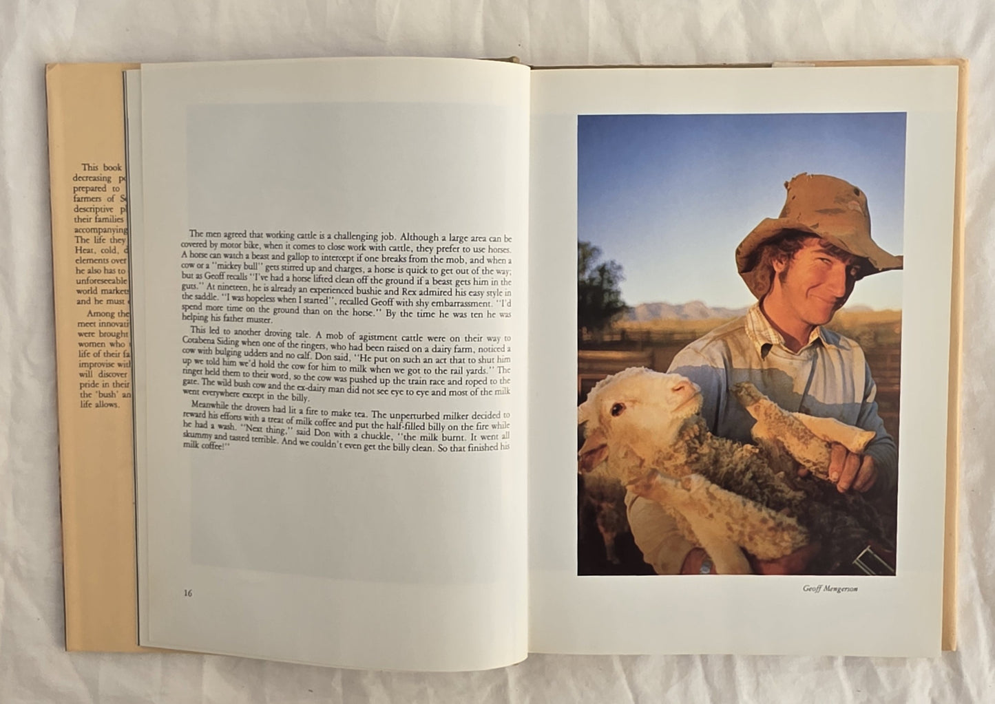 Three Corner Jack by Rex Brereton