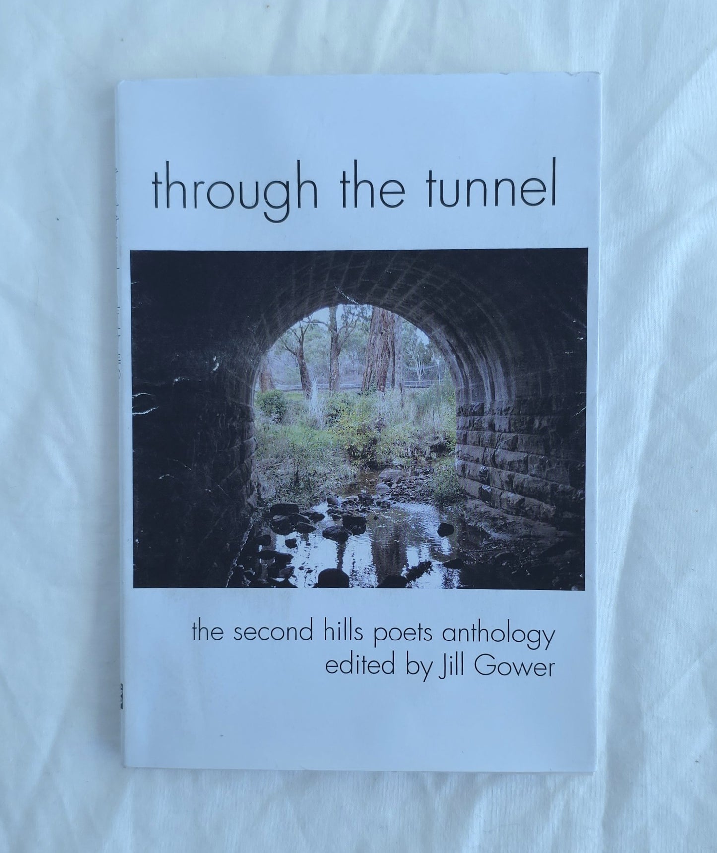 Book titled 'through the tunnel' by Jill Gower on a light blue background