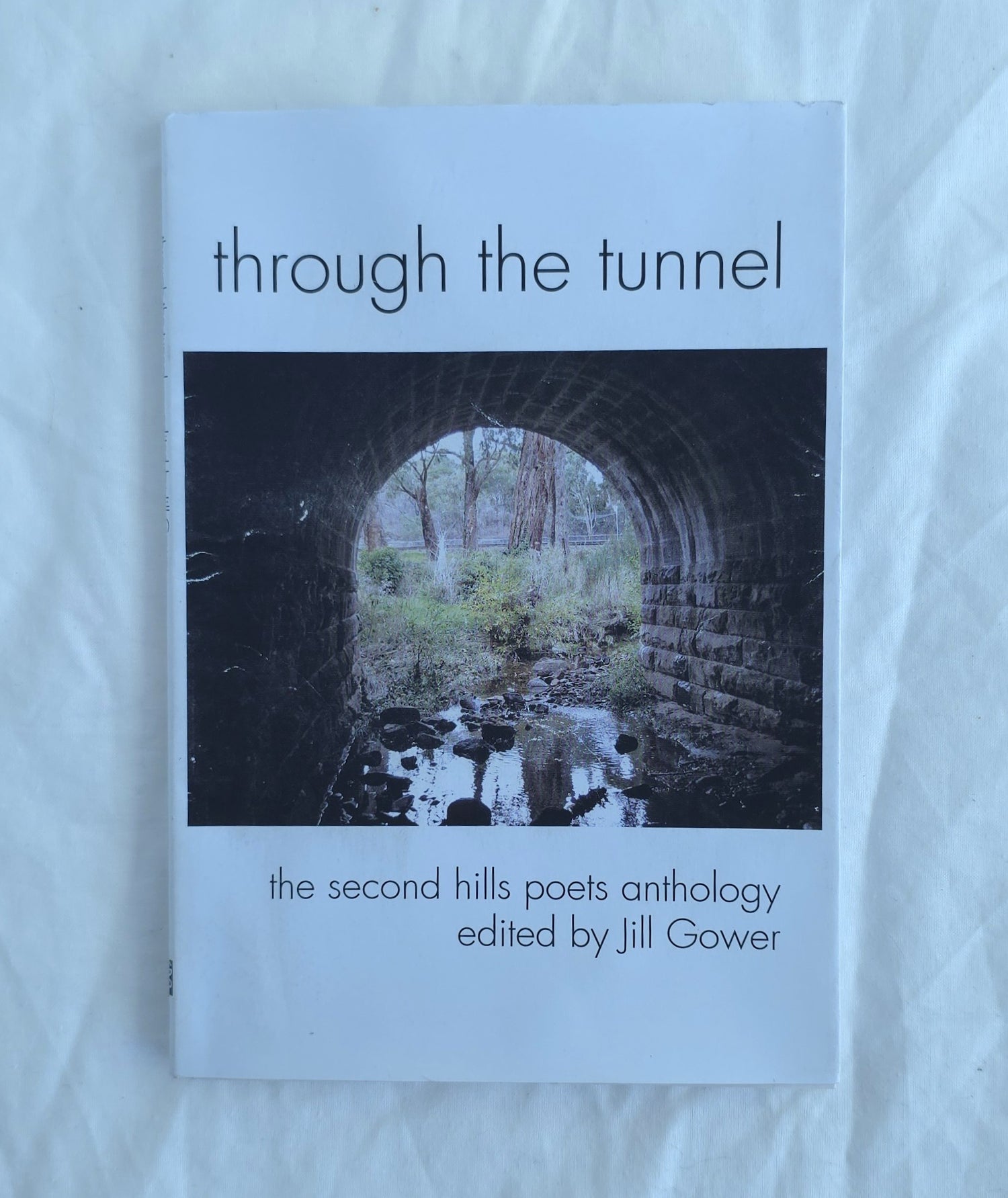 Book titled 'through the tunnel' by Jill Gower on a light blue background