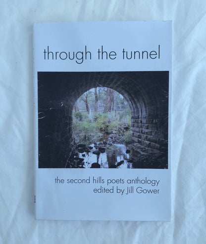 Book titled 'through the tunnel' by Jill Gower on a light blue background
