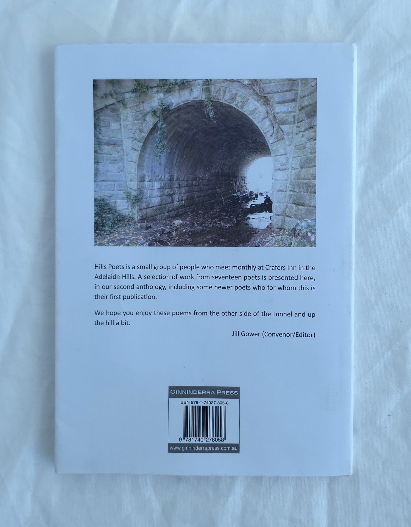 Through the Tunnel by Jill Gower