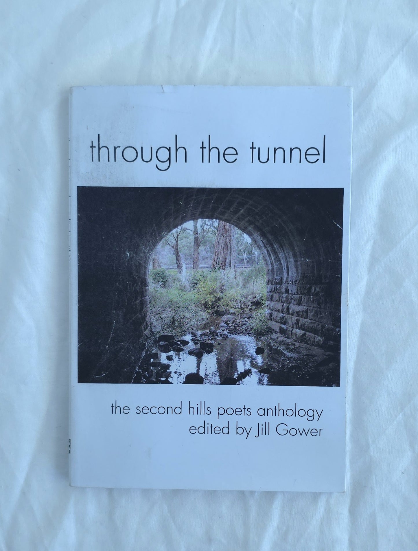 Book titled 'through the tunnel' by Jill Gower on a light background