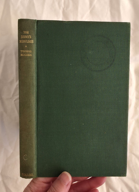 Green book held by a hand on a white background