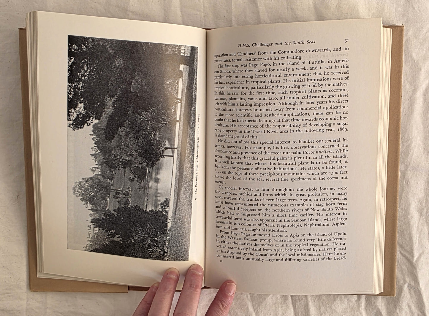 W. R. Guilfoyle 1840-1912 by R. T. M. Prescott