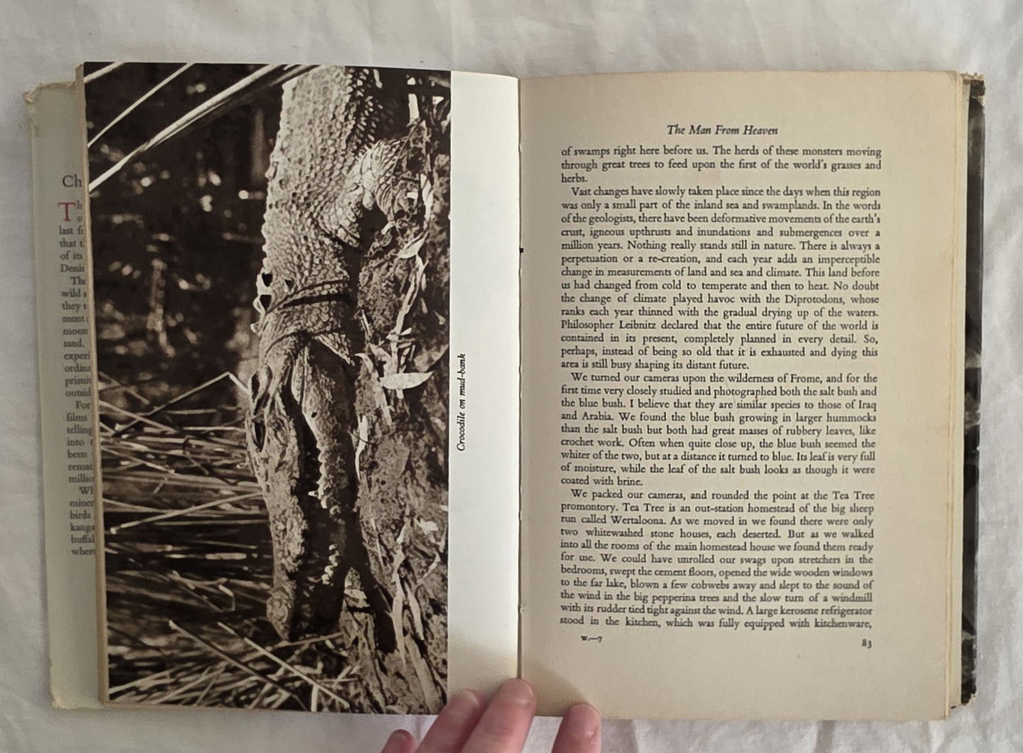 Walkabout by Charles & Elsa Chauvel