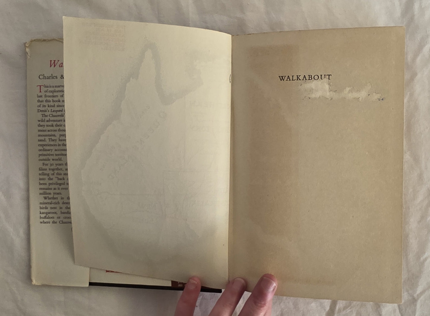 Walkabout by Charles & Elsa Chauvel