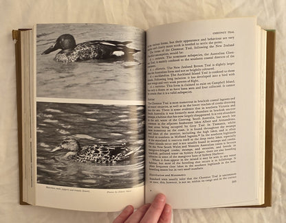 Waterfowl in Australia by H. J. Firth